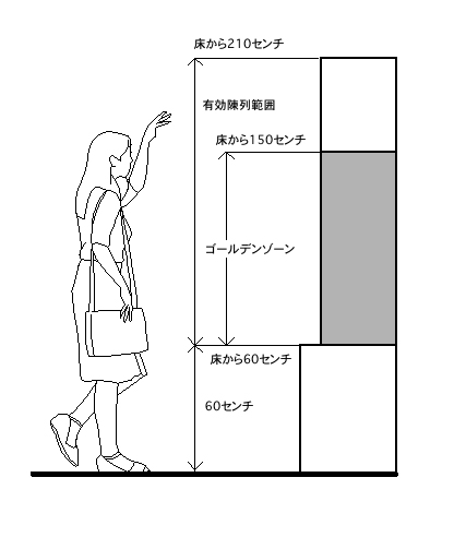ゴールデンゾーン